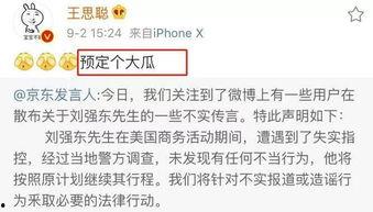 娱乐圈吃瓜论文,揭秘明星背后的真相与八卦