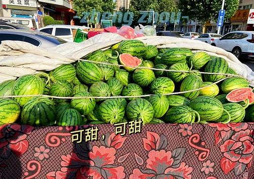 吃瓜娱乐郑州,揭秘网红美食与娱乐新风尚