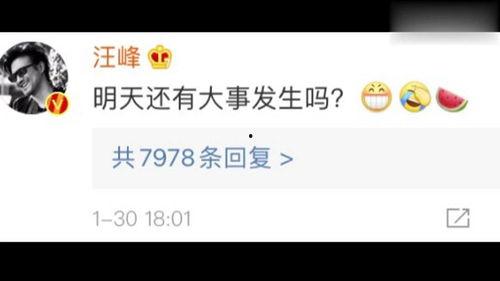 娱乐吃瓜打分,评分揭秘明星幕后故事