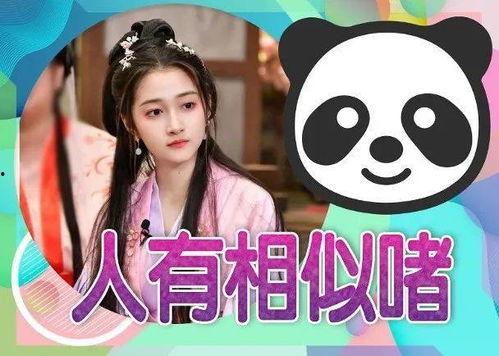 在娱乐圈在线吃瓜小说,瓜田里的秘密风云录