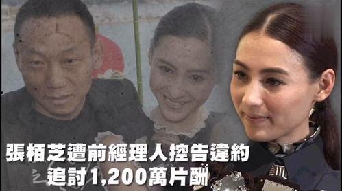 娱乐吃瓜大号,吃瓜群众必看的幕后故事