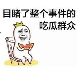 娱乐吃瓜酱川哥文案,娱乐界风云再起！