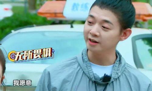 吃瓜娱乐陈泽,吃瓜娱乐界的风云人物