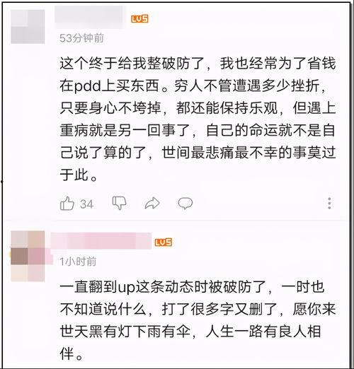 娱乐圈吃瓜游戏视频