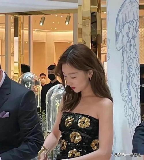 娱乐明星吃瓜专栏