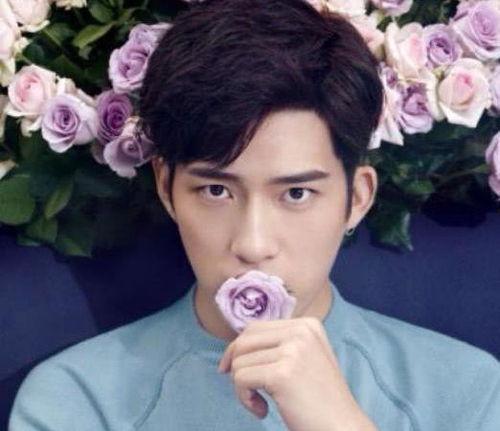 娱乐圈男明星吃瓜语录