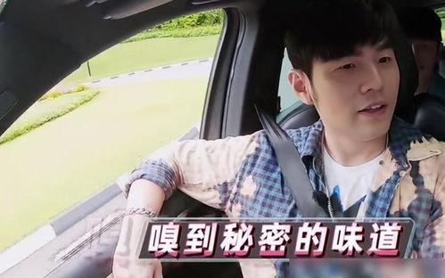 娱乐吃瓜周杰伦